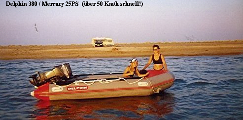 Boot_delphin2