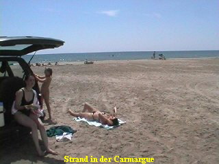 carmstrand1