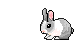 hase