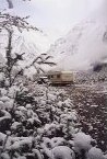 osterschnee
