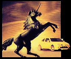 pferd